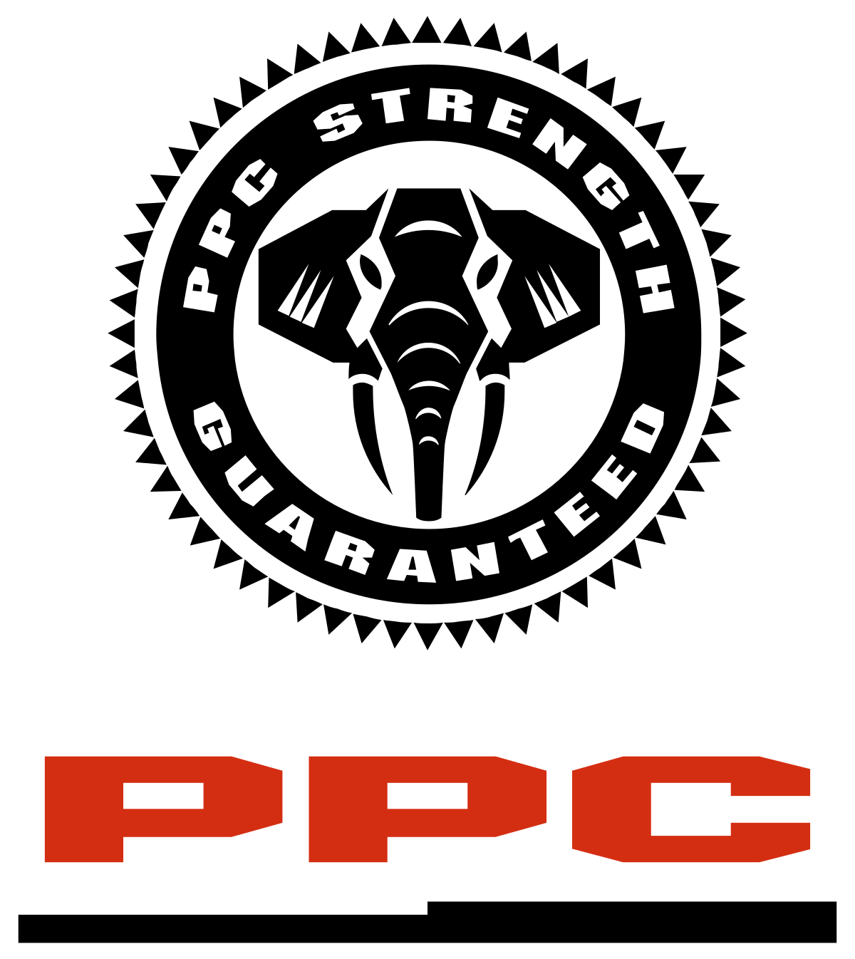 Client Logo 24